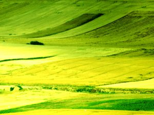 utogenes Training, Progressive Muskelentspannung mit Via Vivendi Köln