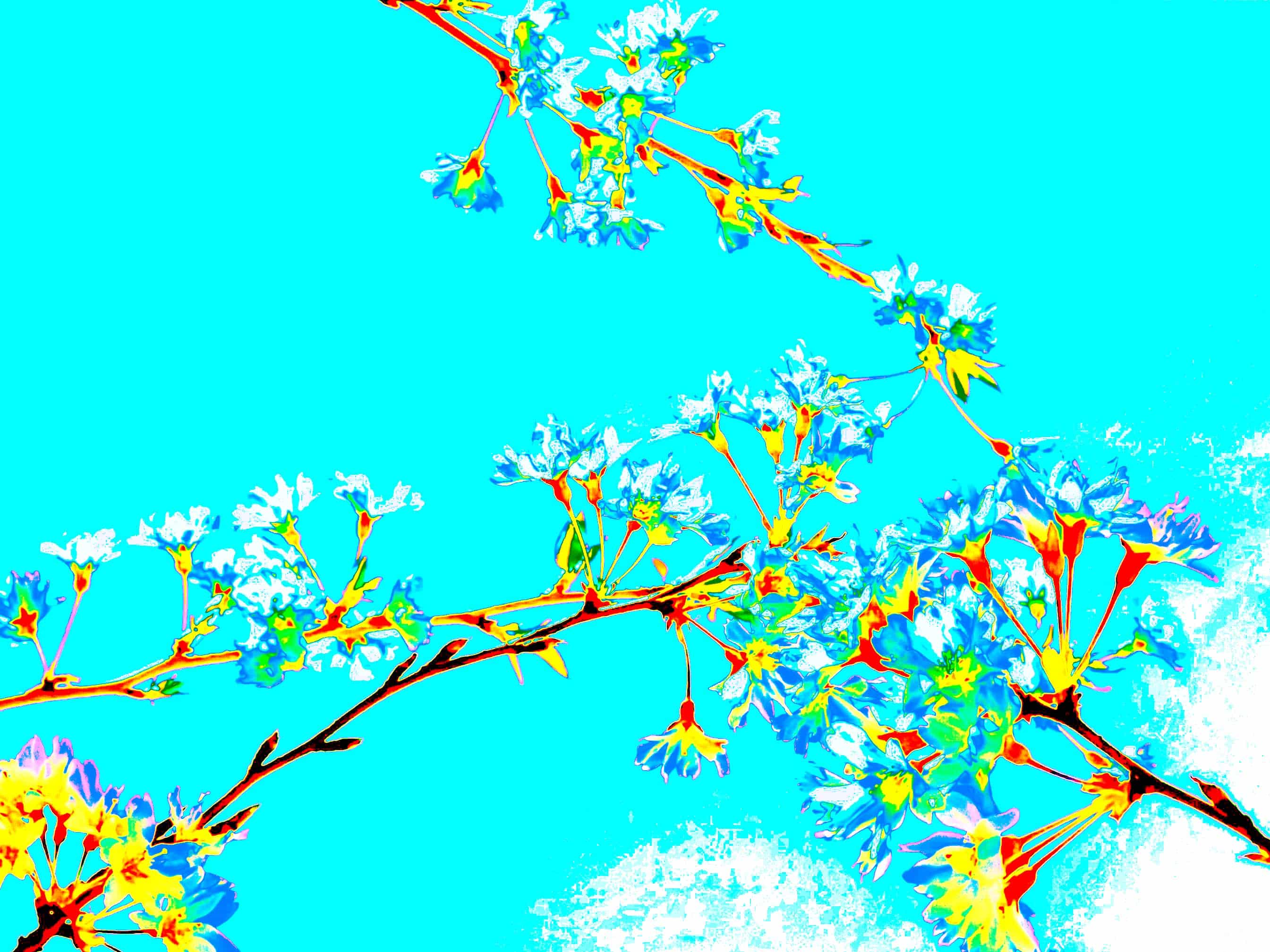 Autogenes_Training_Via_Vivendi_Koeln_Entspannungskurse